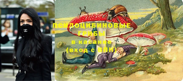 а пвп мука Кукмор
