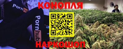 стафф Жуковский