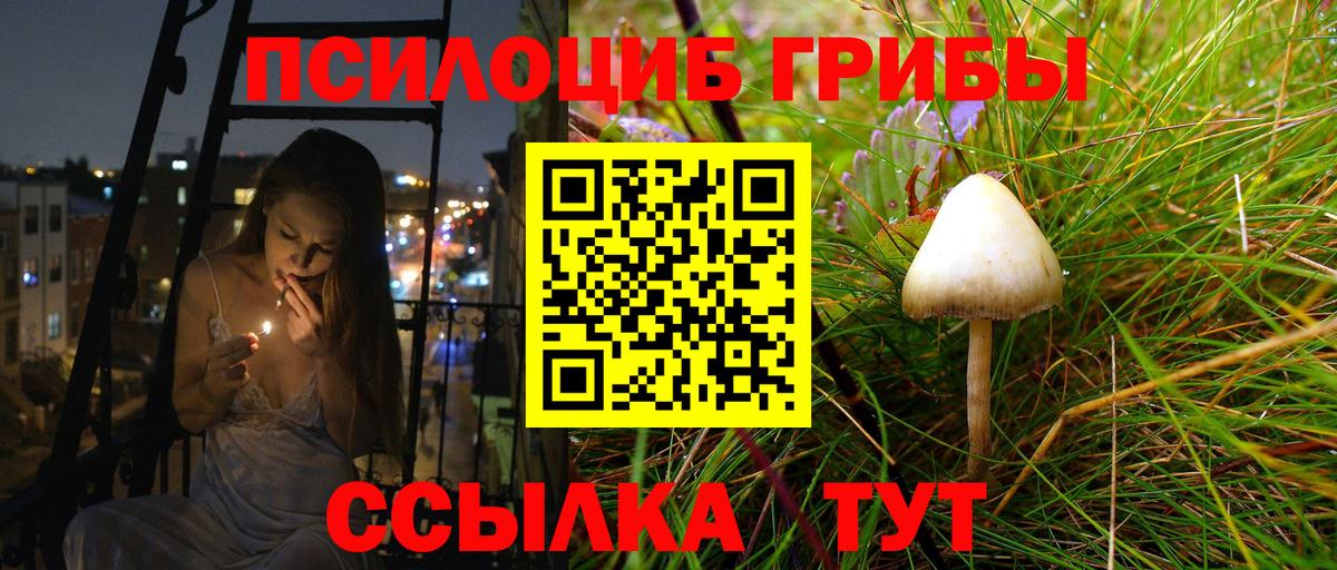 Мичуринск  Галлюциногенные грибы Magic Shrooms  Вход с VPN 