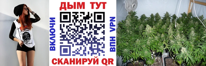 купить закладку  Мичуринск  Бошки марихуана ГИДРОПОН 